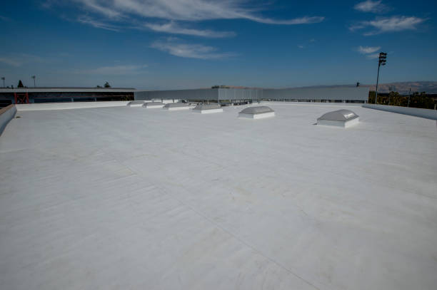 Best Roof Replacement  in Lexington, MN