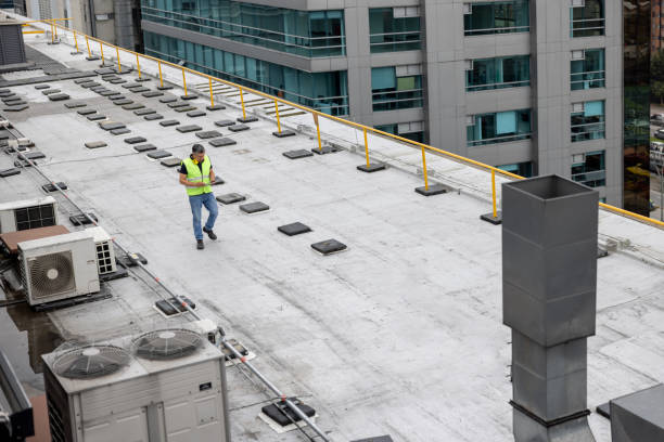 Best Skylight Installation and Repair  in Lexington, MN