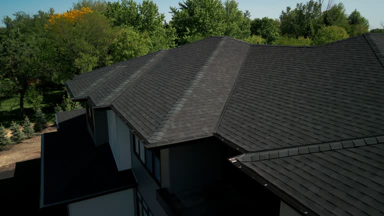 Best Skylights  in Lexington, MN