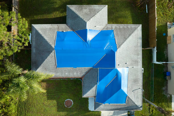 Best Roof Installation  in Lexington, MN