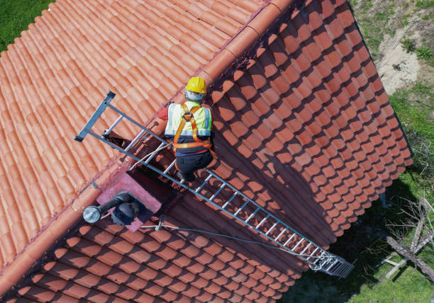 Best Roof Coating and Sealing  in Lexington, MN