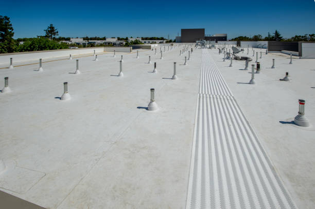Best 4 Ply Roofing  in Lexington, MN